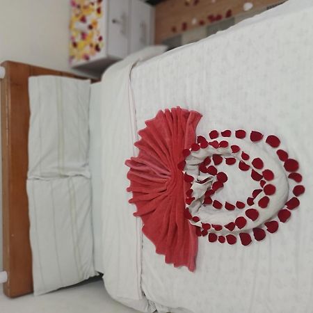 Addis Guest House 외부 사진